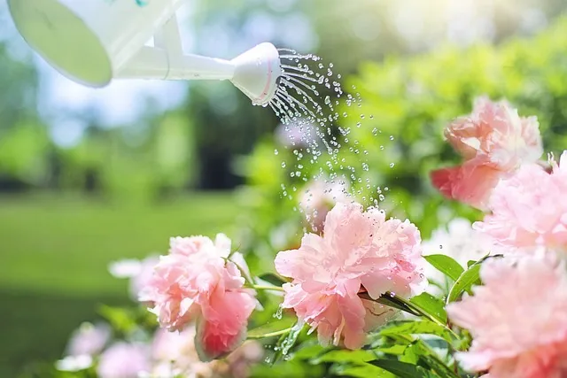 화초를 상징하는 을목, 분홍 빛깔 꽃에 물을 주는 모습입니다.