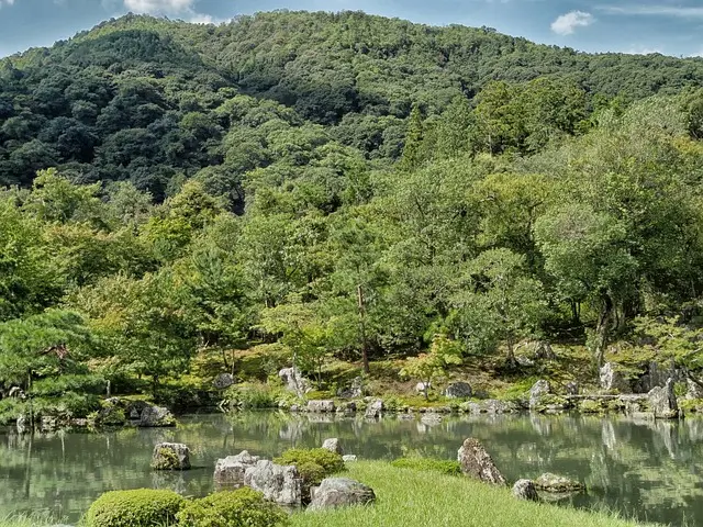 진토 썸네일 나무와 물이 흐르는 산
